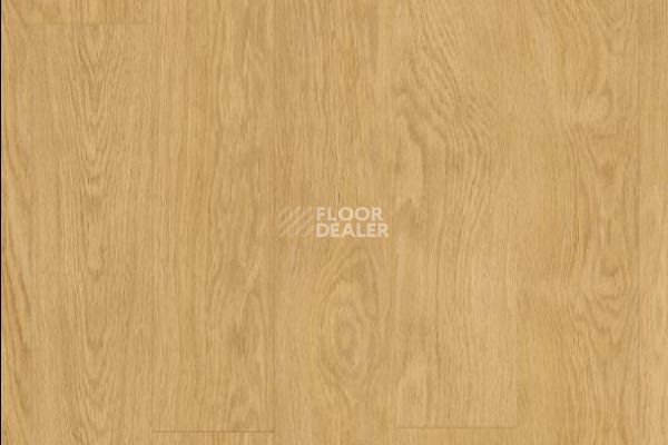 Плитка ПВХ Quick Step Livyn Balance Glue Plus ДУБ НАТУРАЛЬНЫЙ ОТБОРНЫЙ BAGP40033 фото 1 | FLOORDEALER